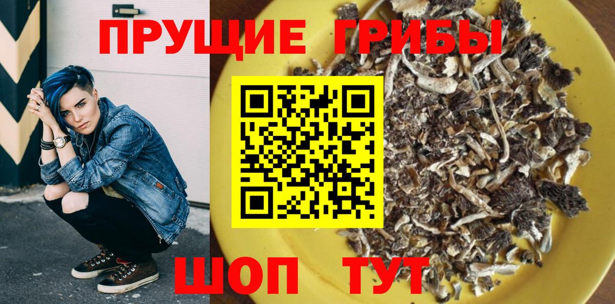 Псилоцибиновые грибы Psilocybine cubensis  Вход с VPN  Псилоцибиновые грибы мухоморы  Протвино 