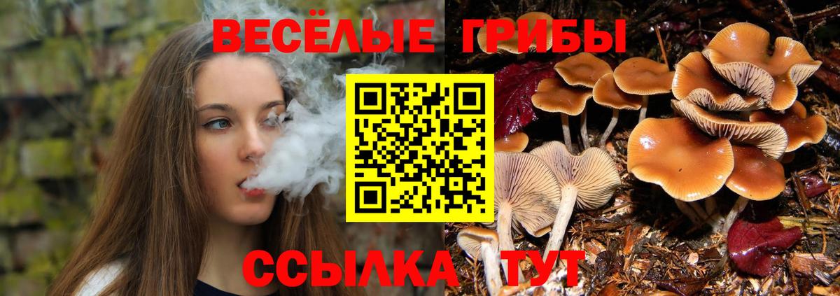 Галлюциногенные грибы мицелий Протвино