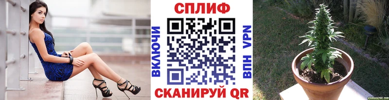 купить  цена  Протвино  Бошки Шишки Amnesia 
